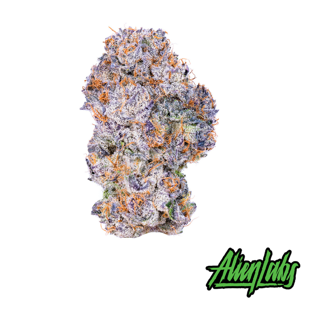 Krypto Chronic Alien Labs