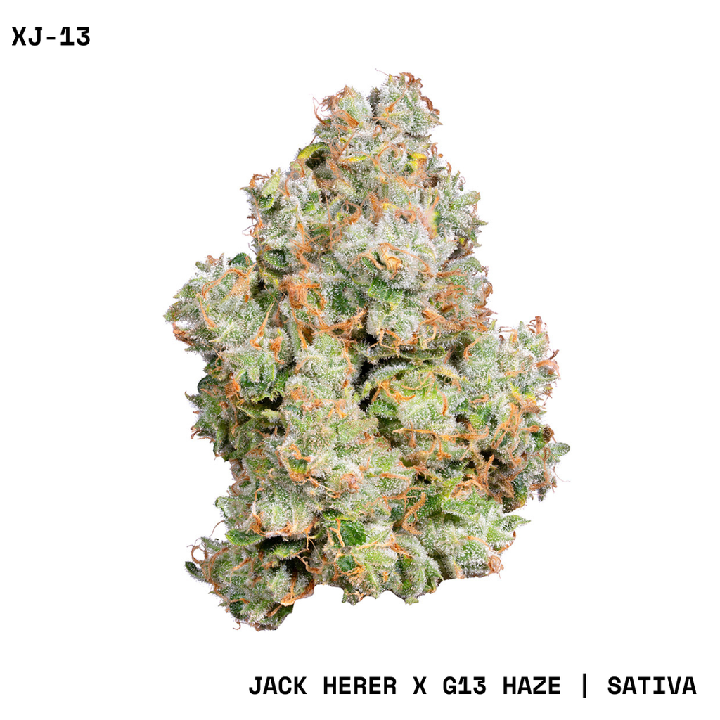 flower様確認ページ XJ-13 3.5g Whole Flower | Curaleaf King of Prussia, PA | Medical