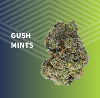 Gush Mints Pure Dakota
