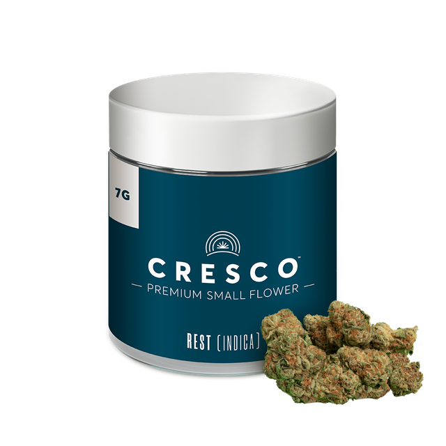 Guava Street Guru Cresco