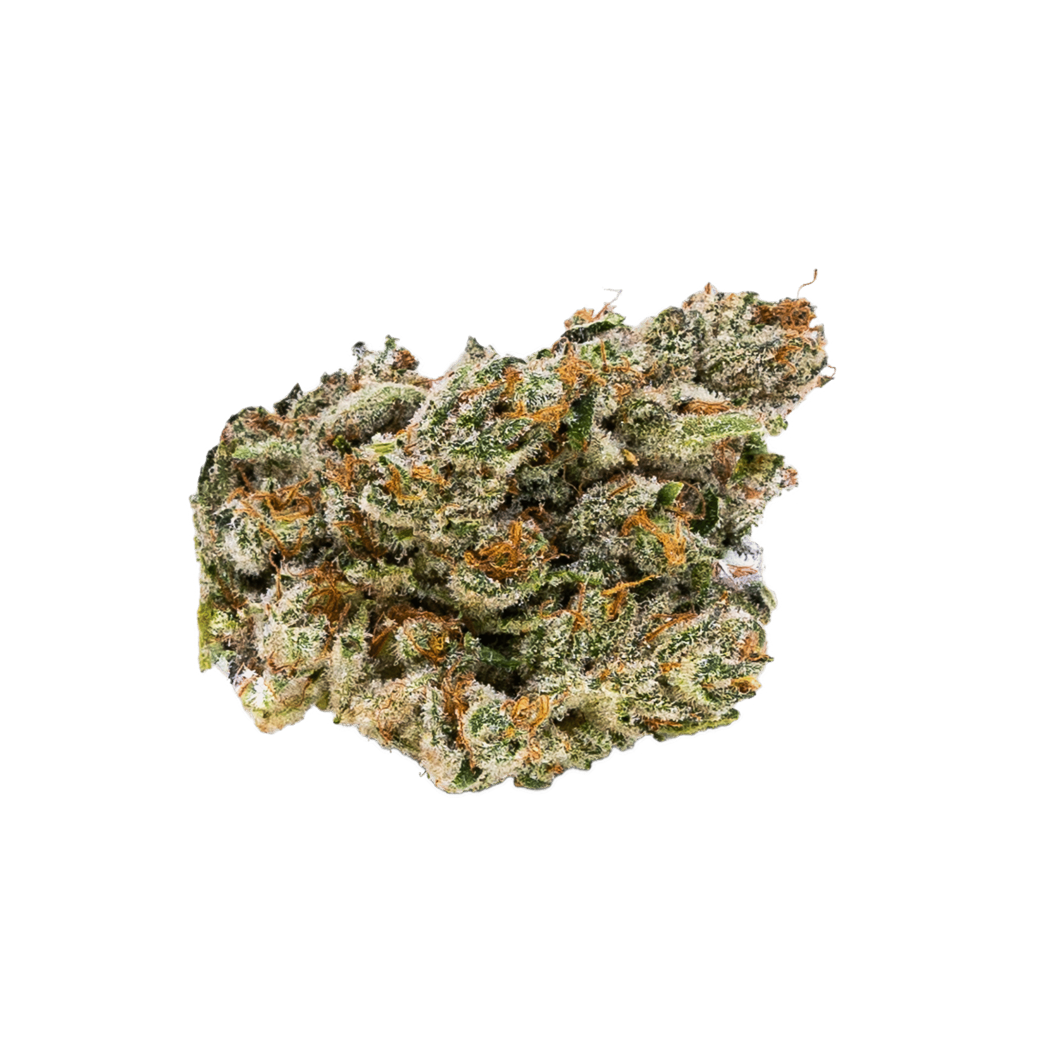 Citradelic Sunset Elevate
