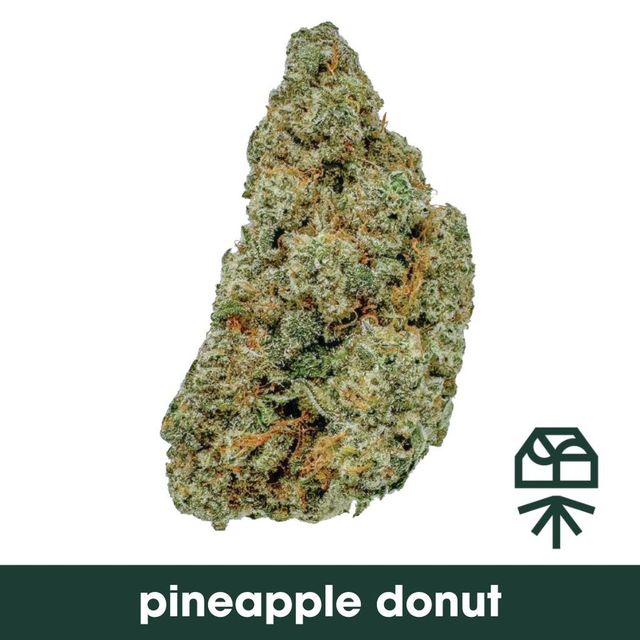 Pineapple Donut Grassroots