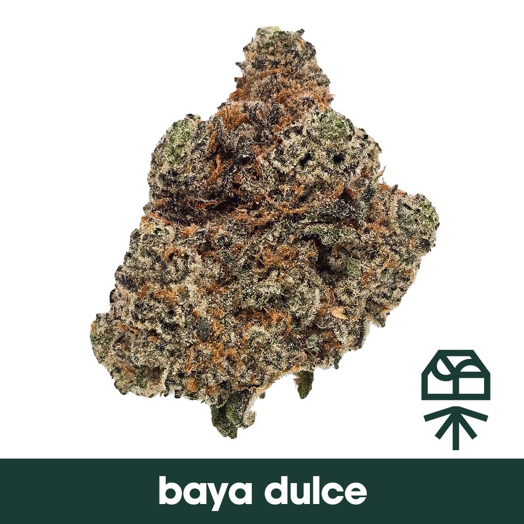 Grassroots Baya Dulce Whole Flower 3.5g