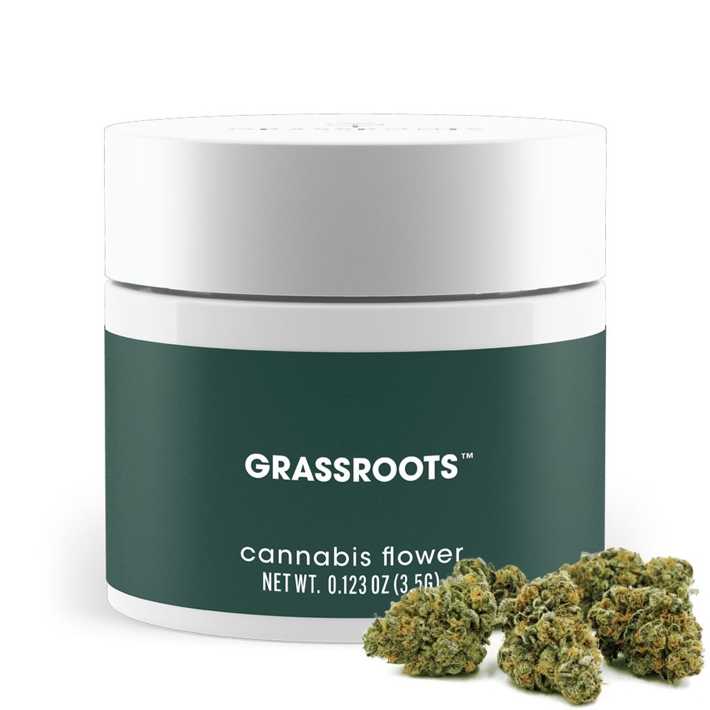 Indica Princess 3.5g Whole Flower | Curaleaf Melrose Park, IL