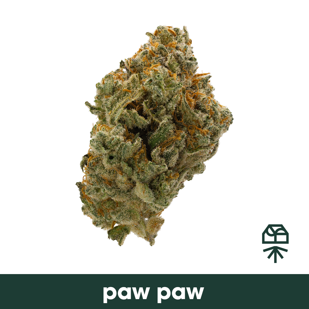 Paw Paw