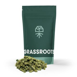 Delphi Diesel Grassroots