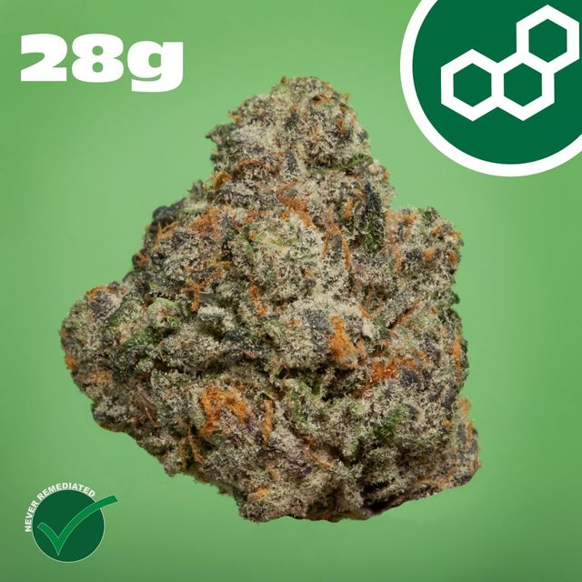 Gas Face Theraplant