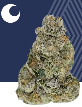 Mule Fuel Pure Dakota