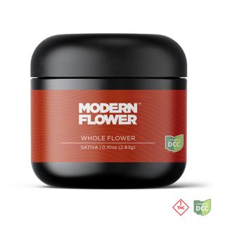 Disco Diesel Modern Flower