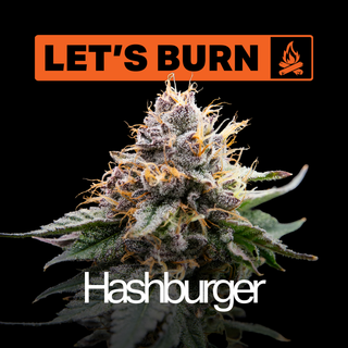 Cannabis Promo, Cannabis Sales, Cannabis Discounts, Cannabis on Sale, 25% Off Let's Burn Products! 3