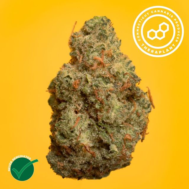 Grand Pappy's Chillemon Theraplant