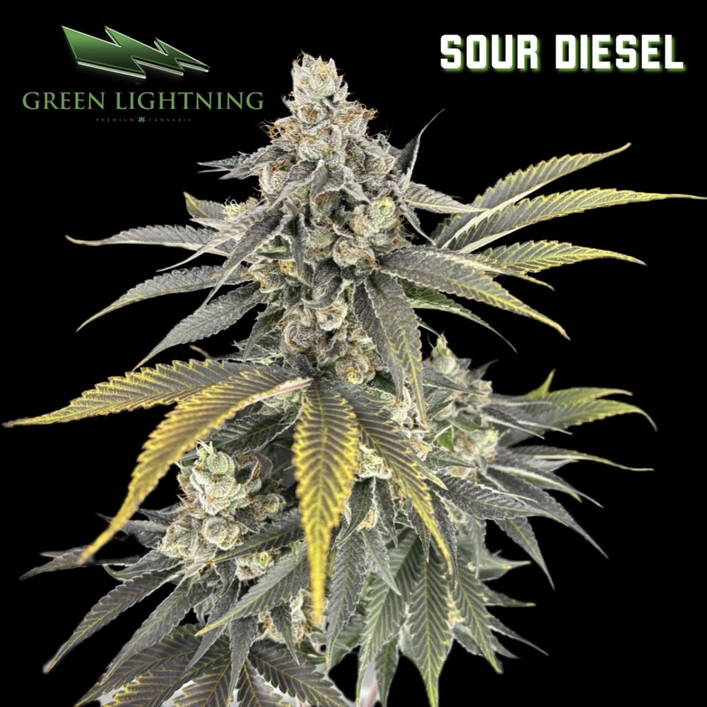 Sour Diesel