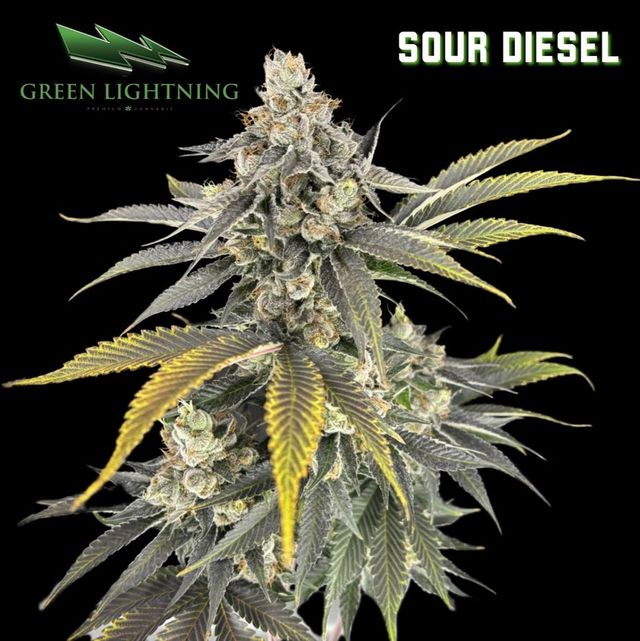Sour Diesel Green Lightning