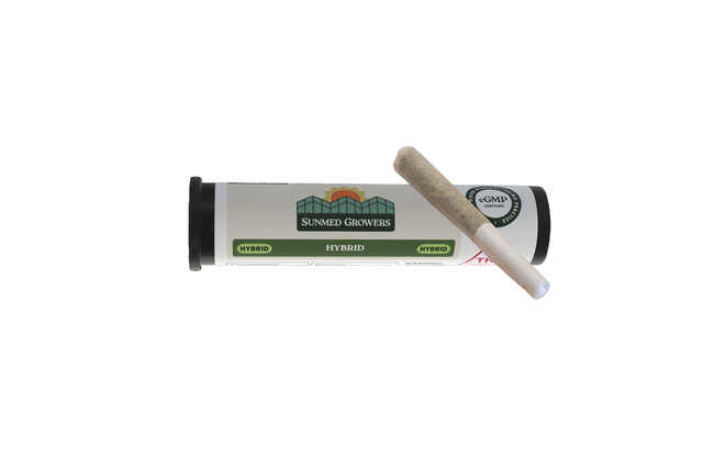 Banana Puddintain SunMed Growers
