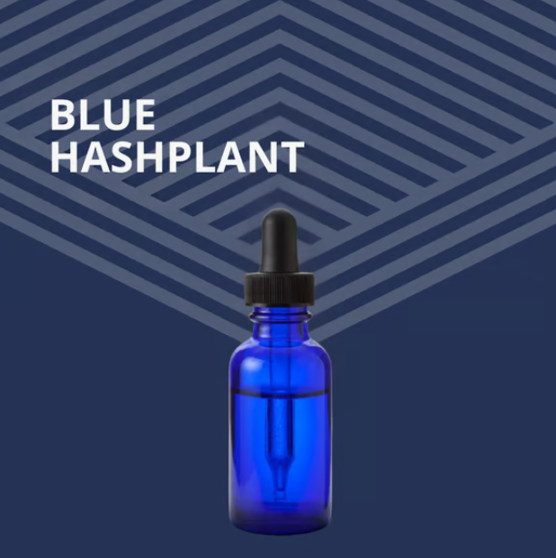 Blue Hashplant Pure Dakota