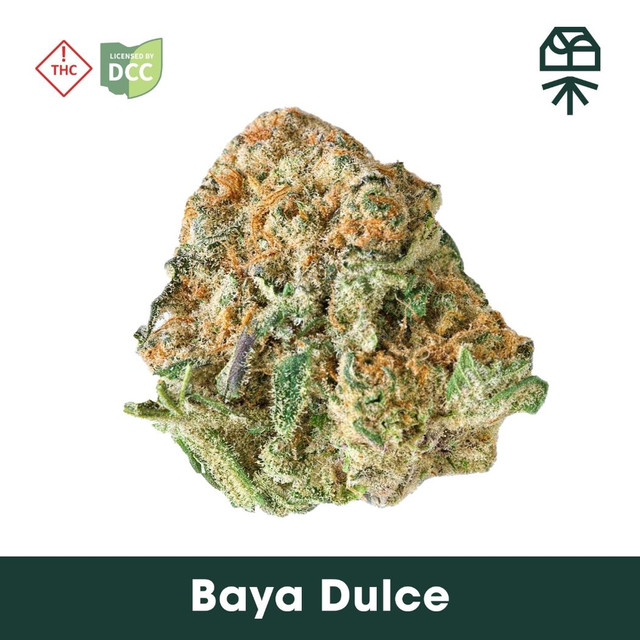 Baya Dulce Grassroots