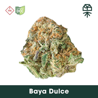 Baya Dulce Grassroots Baya Dulce Grassroots