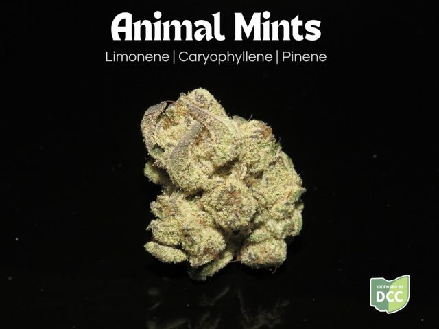 Animal Mints Farkas Farms