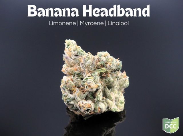 Banana Headband Farkas Farms