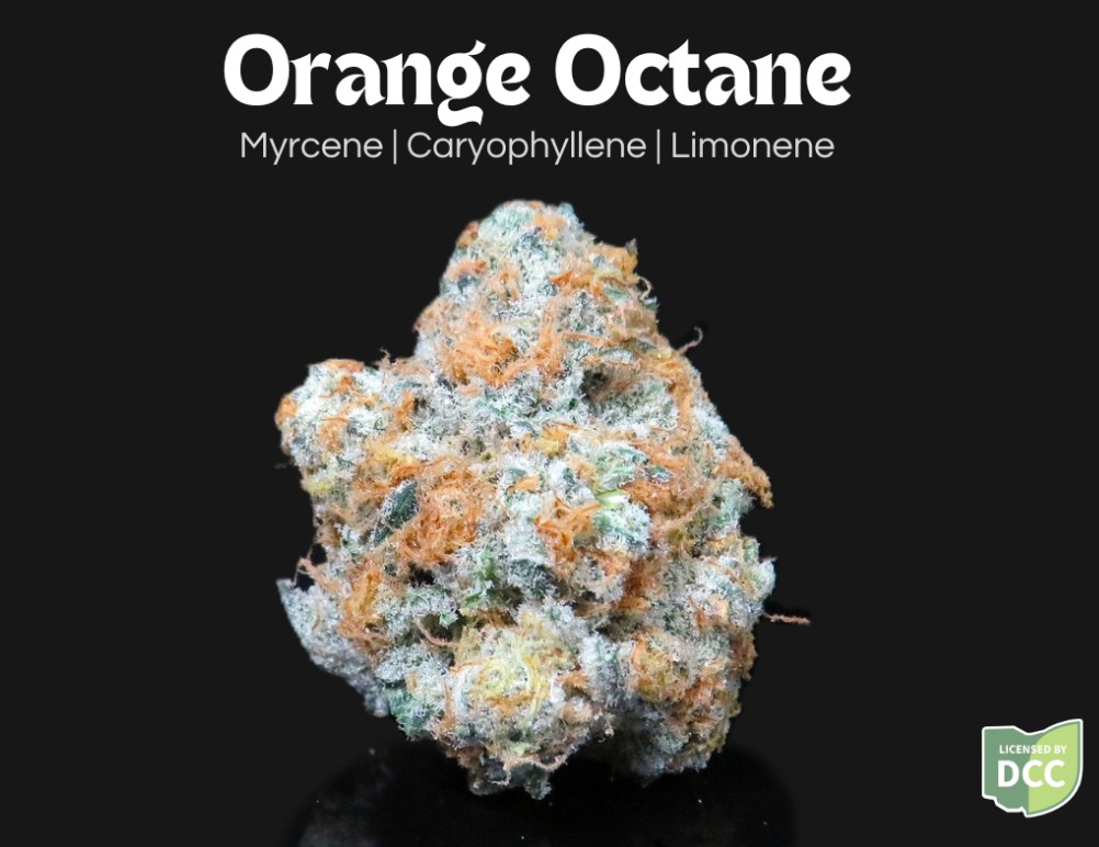 Orange Octane, Farkas Farms