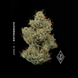 Cannabis Promo, Cannabis Sales, Cannabis Discounts, Cannabis on Sale, Last Chance Up To 40% OFF! While Supplies Last! 3