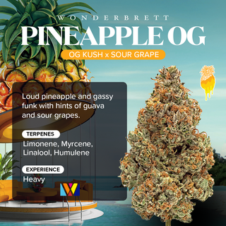 Cannabis Promo, Cannabis Sales, Descuentos en cannabis, Cannabis on Sale, ¡$40 Bliss Co & Wonderbrett Flor de 3.5g! 3