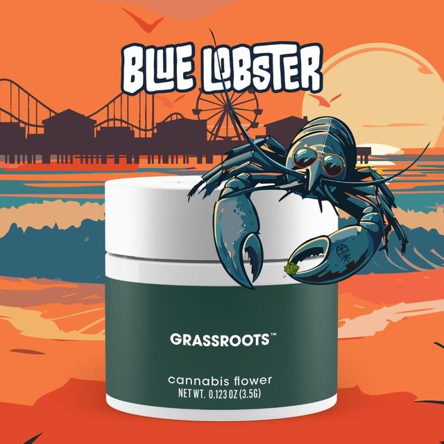 Blue Lobster 7g Smalls | Curaleaf Greensburg, PA | Medical Cannabis