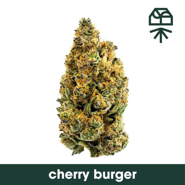 Cherry Burger Grassroots Cherry Burger Grassroots