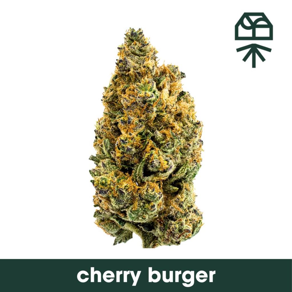 Cherry Burger, Grassroots