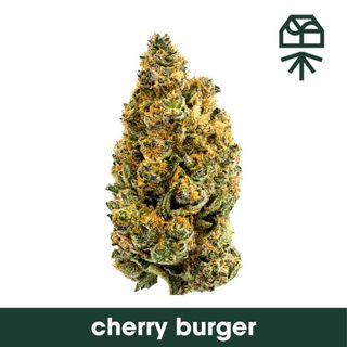 Cherry Burger Grassroots Cherry Burger Grassroots
