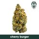Cherry Burger Grassroots Cherry Burger Grassroots