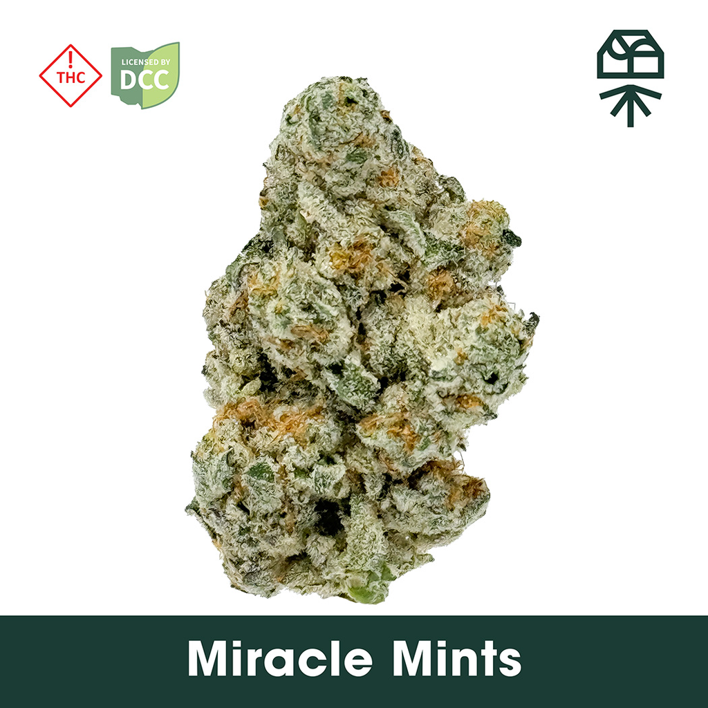 Miracle Mintz, Grassroots