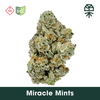 Miracle Mintz Grassroots Miracle Mintz Grassroots