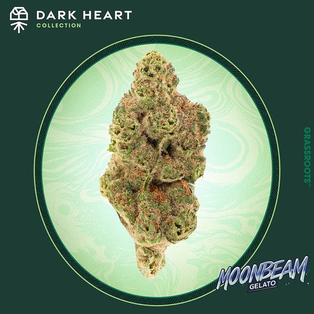 Moonbeam Gelato Grassroots