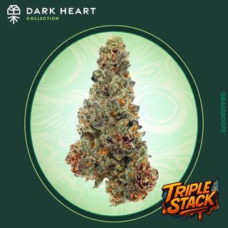 Triple Stack Grassroots