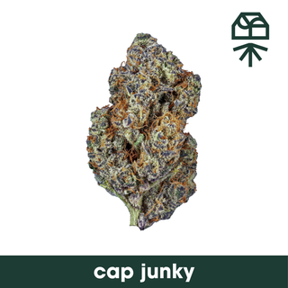 Cannabis Promo, Cannabis Sales, Cannabis Discounts, Cannabis on Sale, $15 Grassroots 3.5g Whole Flower! 2