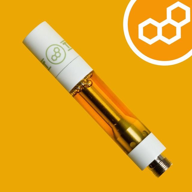 Dream Clouds Theraplant