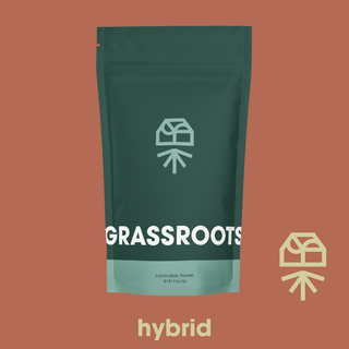 Papaya Drip #7 Grassroots
