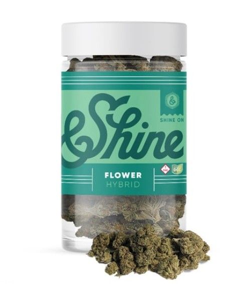 Gelato Punch Cookies &Shine