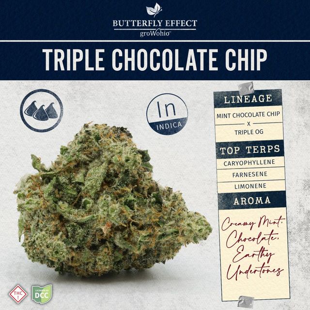 Triple Chocolate Chip Butterfly Effect