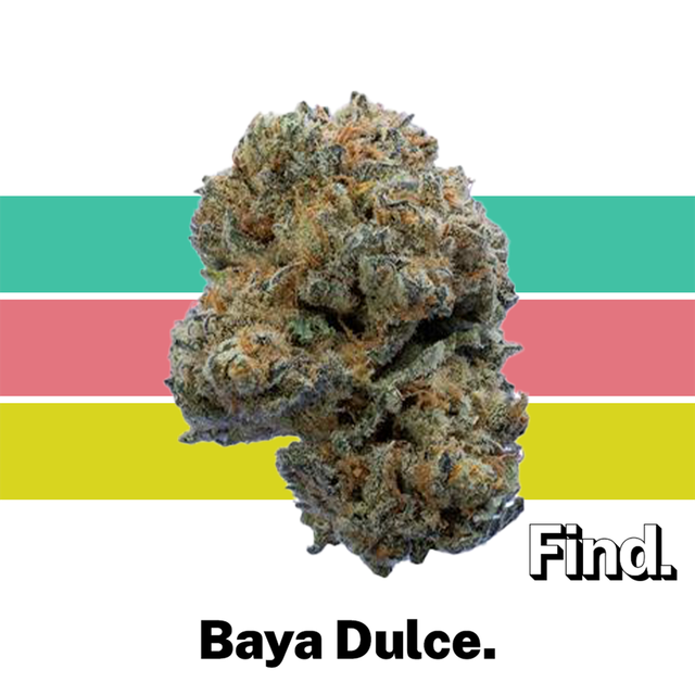 Baya Dulce Find.