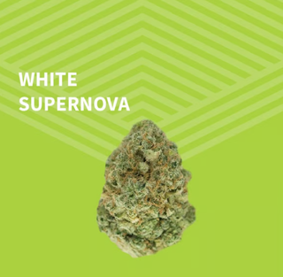White Supernova Pure Dakota