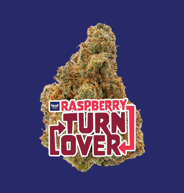 Raspberry Turnover