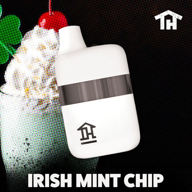 Irish Mint Chip In House