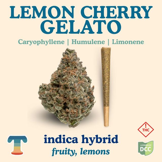 Lemon Cherry Gelato Treehaus