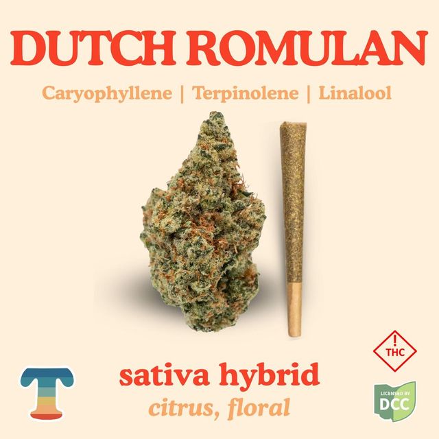 Dutch Romunlan Treehaus