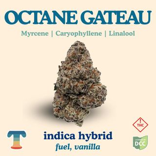 Octane Gateau Treehaus