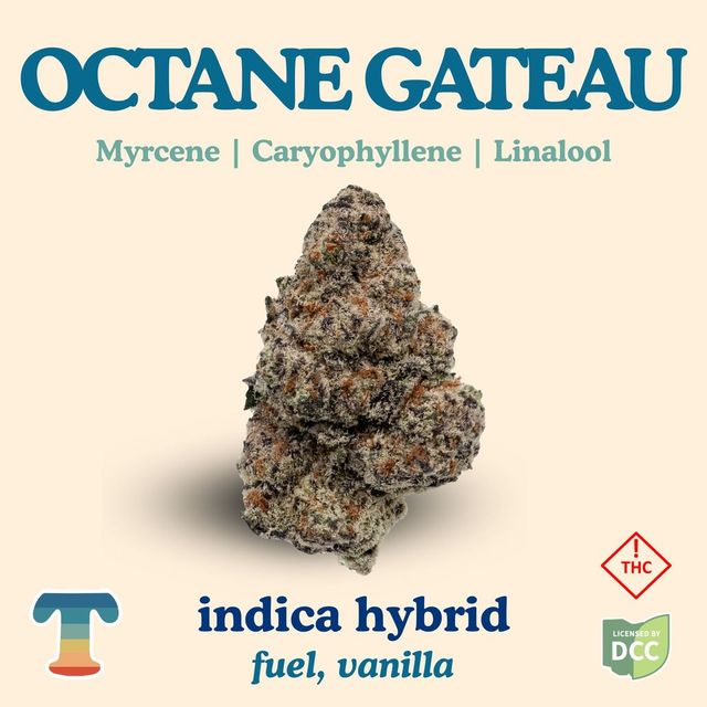 Octane Gateau Treehaus