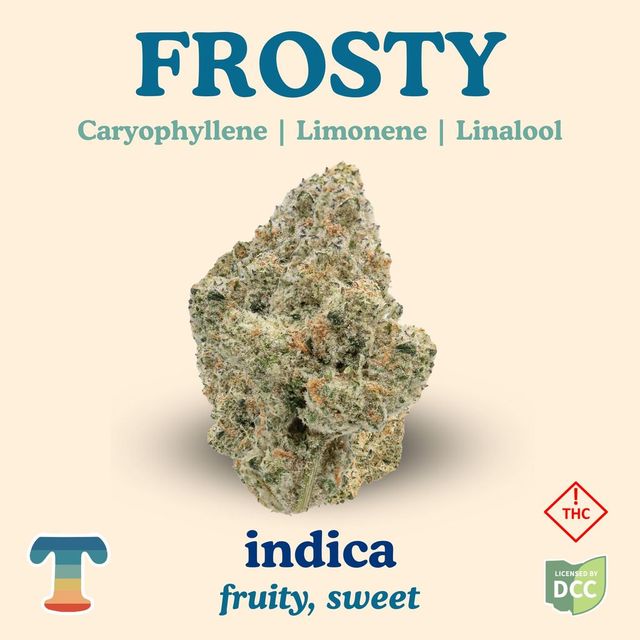 Frosty Treehaus