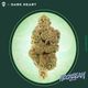 Moonbeam Gelato Grassroots Moonbeam Gelato Grassroots